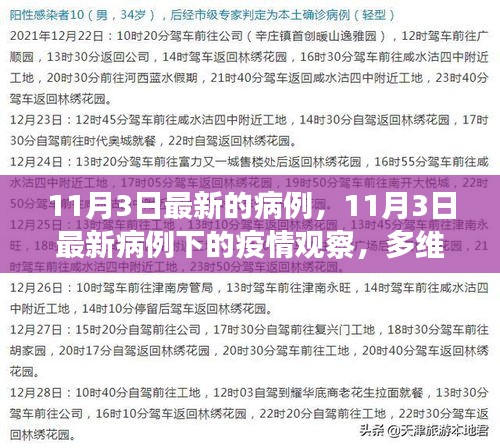 多维度视角下的观点碰撞与个人立场，11月3日最新病例疫情观察