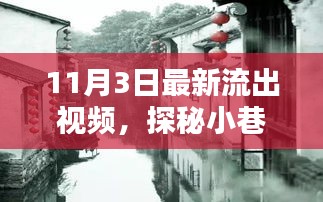 探秘小巷深处的独特风味，揭秘最新惊喜视频大解密（11月最新）