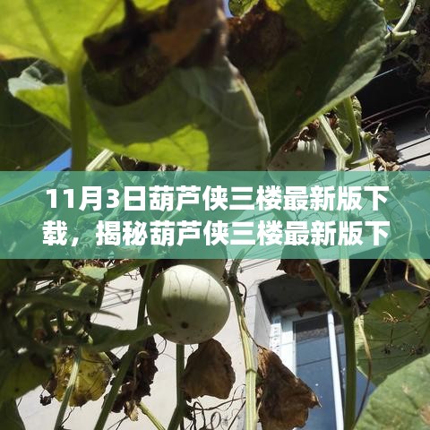 揭秘葫芦侠三楼最新版下载背后的神秘小巷特色小店，葫芦侠三楼最新下载体验日