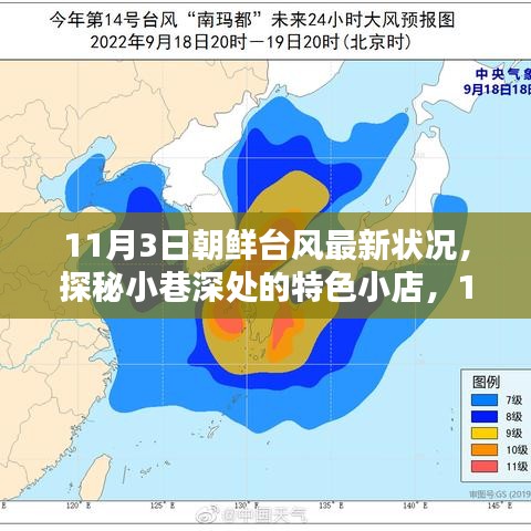 台风影响下的朝鲜小巷特色小店探秘，11月3日最新状况