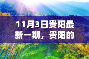 贵阳秋日暖阳下的温馨日常，最新一期贵阳日常纪实（11月3日）