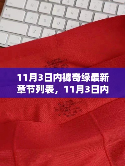 11月3日内裤奇缘最新连载更新动态及章节列表