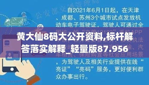 黄大仙8码大公开资料,标杆解答落实解释_轻量版87.956