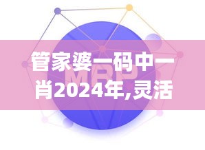 管家婆一码中一肖2024年,灵活解析设计_UHD版54.291