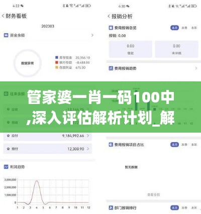 管家婆一肖一码100中,深入评估解析计划_解锁版0.804