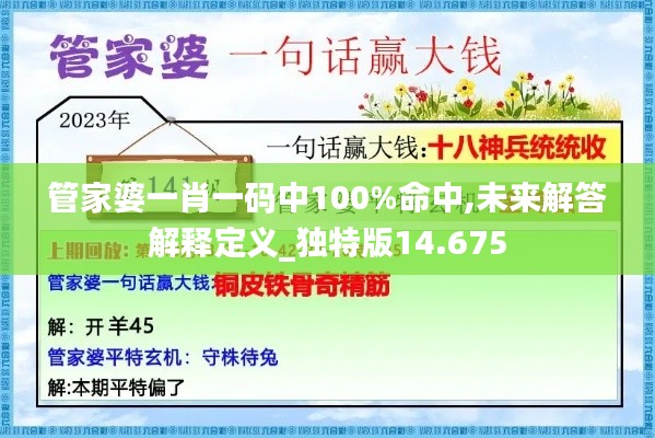 管家婆一肖一码中100%命中,未来解答解释定义_独特版14.675