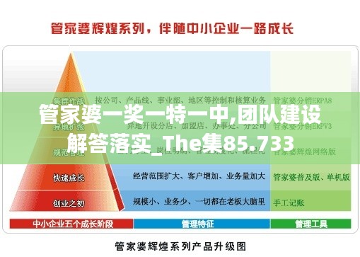 管家婆一奖一特一中,团队建设解答落实_The集85.733