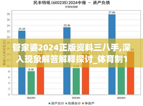 管家婆2024正版资料三八手,深入现象解答解释探讨_体育制10.405