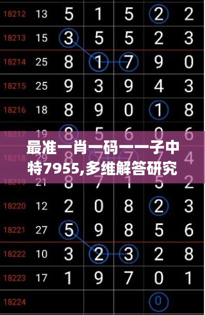 最准一肖一码一一子中特7955,多维解答研究解释路径_QT82.853