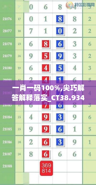 一肖一码100%,尖巧解答解释落实_CT38.934