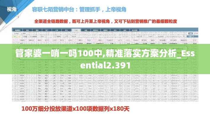 管家婆一哨一吗100中,精准落实方案分析_Essential2.391