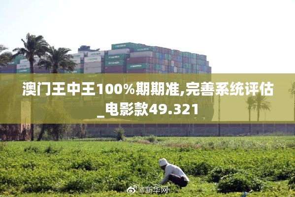 澳门王中王100%期期准,完善系统评估_电影款49.321