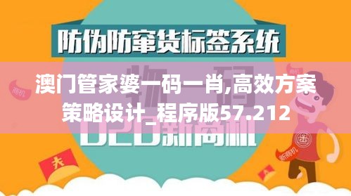 澳门管家婆一码一肖,高效方案策略设计_程序版57.212