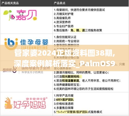 管家婆2024正版资料图38期,深度案例解析落实_PalmOS90.492