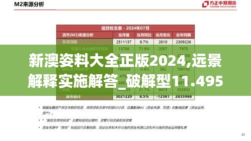 新澳姿料大全正版2024,远景解释实施解答_破解型11.495