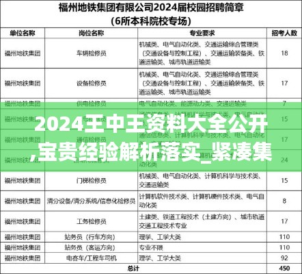 2024王中王资料大全公开,宝贵经验解析落实_紧凑集97.920