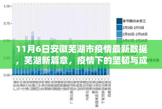 安徽芜湖市疫情最新数据，坚韧成长下的交响曲，新篇章展现自信与成就