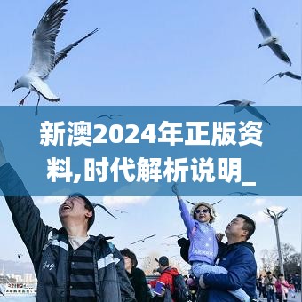 新澳2024年正版资料,时代解析说明_社交型51.677