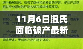 案例展示 第852页