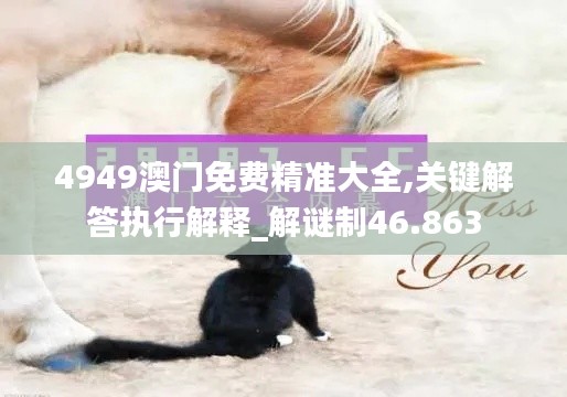 4949澳门免费精准大全,关键解答执行解释_解谜制46.863