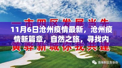 沧州疫情最新动态与内心宁静之旅，疫情新篇章下的自然探索