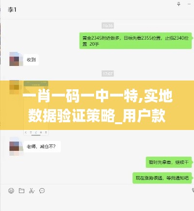 一肖一码一中一特,实地数据验证策略_用户款0.342