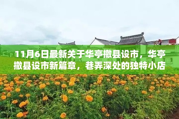 华亭撤县设市新篇章，探索巷弄深处的独特小店之旅