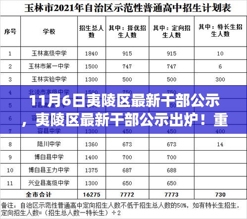 夷陵区最新干部公示揭晓，重磅解读与风采一览