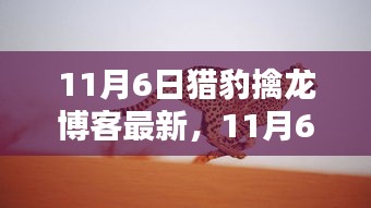 独家解析，猎豹擒龙博客最新资讯一网打尽（11月6日）