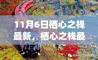 11月6日深度解读，栖心之栈最新动态与资讯