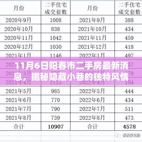 阳春市二手房最新消息揭秘，小巷风情与特色小店的奇遇记