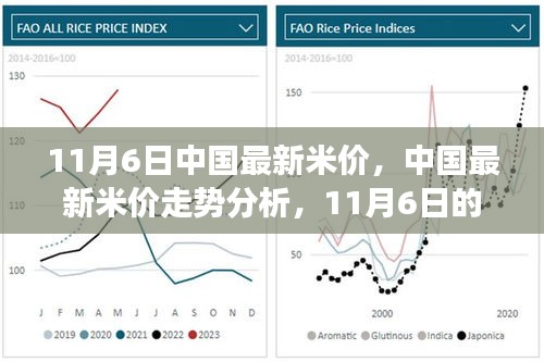 11月6日中国米价走势观察，最新行情与深度思考