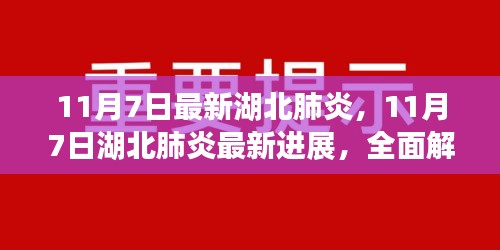 湖北肺炎最新进展，疫情现状全面解读与防控措施更新（11月7日更新）