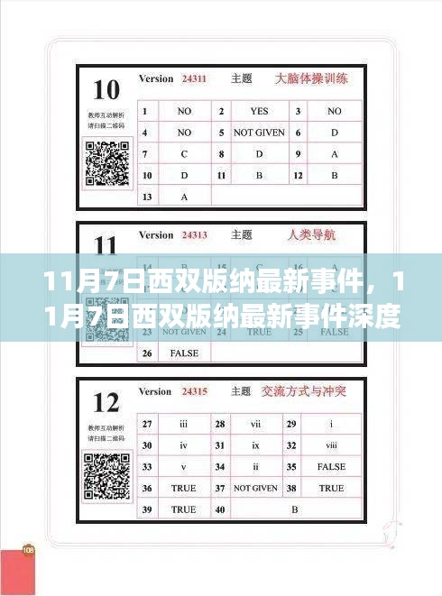 11月7日西双版纳最新事件深度解析，我的观点与理由