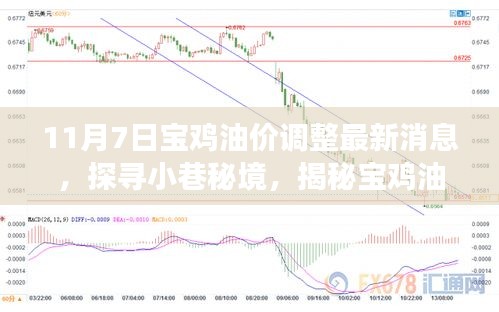 宝鸡油价调整最新动态下的独特风味，探寻小巷秘境中的隐藏式小店故事