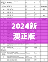 2024新澳正版资料最新更新,安全评估策略_直观版CUN854.26