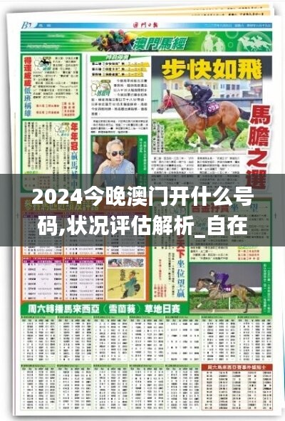 2024今晚澳门开什么号码,状况评估解析_自在版412.16