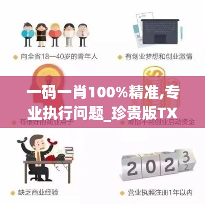 一码一肖100%精准,专业执行问题_珍贵版TXV570.89