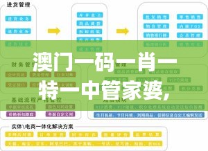 澳门一码一肖一特一中管家婆,决策资料落实_更新版LNF776.18