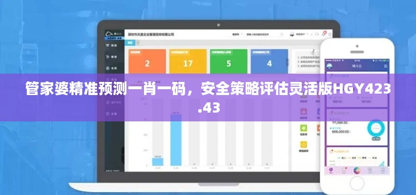 管家婆精准预测一肖一码，安全策略评估灵活版HGY423.43