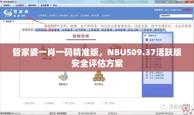 管家婆一肖一码精准版，NBU509.37活跃版安全评估方案