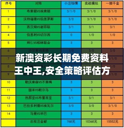 新澳资彩长期免费资料王中王,安全策略评估方案_编辑版186.48