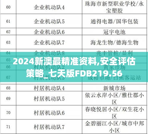 2024新澳最精准资料,安全评估策略_七天版FDB219.56