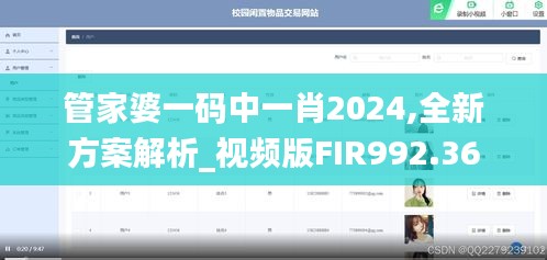 管家婆一码中一肖2024,全新方案解析_视频版FIR992.36