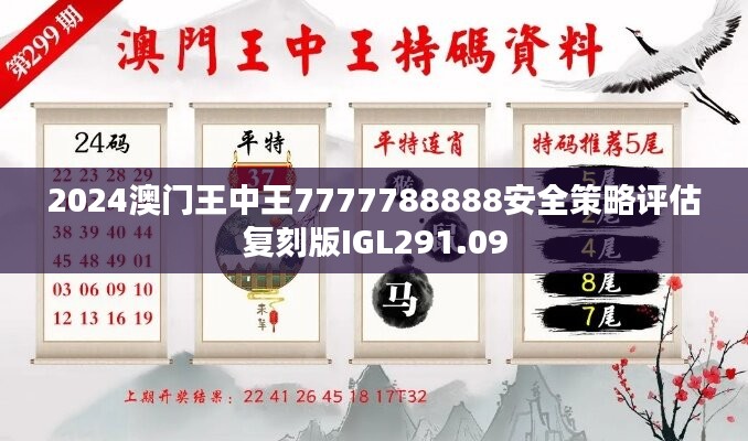 2024澳门王中王7777788888安全策略评估复刻版IGL291.09