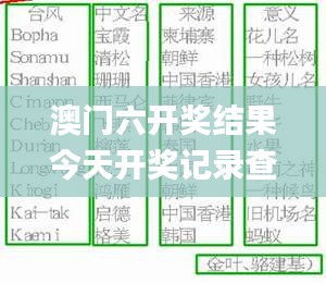 澳门六开奖结果今天开奖记录查询,综合数据说明_个性版KUA958.89