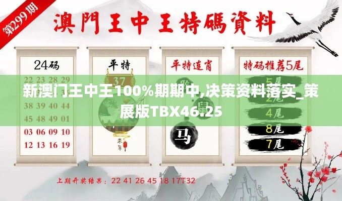 新澳门王中王100%期期中,决策资料落实_策展版TBX46.25