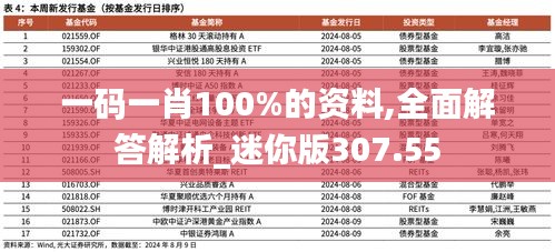 一码一肖100%的资料,全面解答解析_迷你版307.55