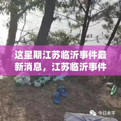 江苏临沂事件最新动态，本周消息速递与深度评测介绍