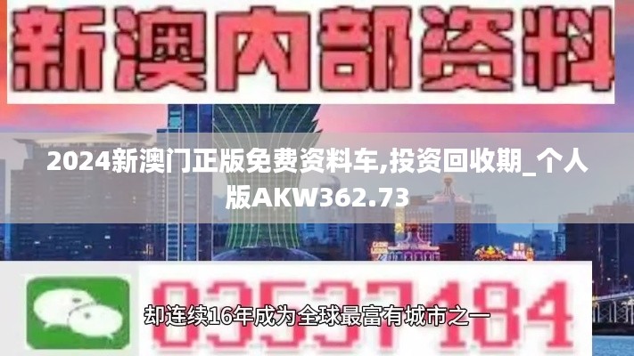 2024新澳门正版免费资料车,投资回收期_个人版AKW362.73